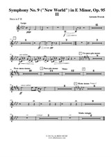 Symphony No.9, Movement II - Horn in F 2 (Transposed Part)