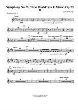 Symphony No.9, Movement II - Trumpet in C 2 (Transposed Part)