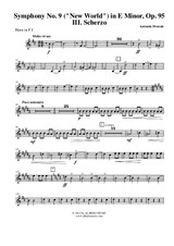 Symphony No.9, Movement III - Horn in F 1 (Transposed Part)