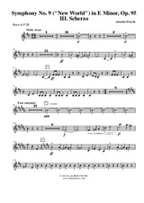 Symphony No.9, Movement III - Horn in F 3 (Transposed Part)