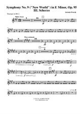 Symphony No.9, Movement III - Trumpet in Bb 2 (Transposed Part)