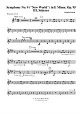 Symphony No.9, Movement III - Trumpet in C 2 (Transposed Part)