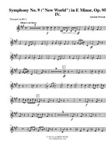Symphony No.9, Movement IV - Trumpet in Bb 2 (Transposed Part)
