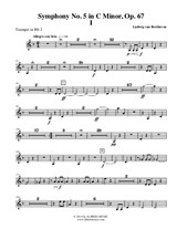 Symphony No.5, Movement I - Trumpet in Bb 2 (Transposed Part)