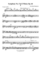 Symphony No.5, Movement I - Trumpet in Bb 2 (Transposed Part)