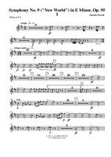 Symphony No.9, Movement I - Horn in F 1 (Transposed Part)