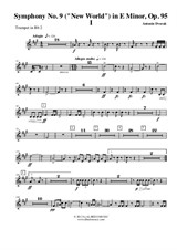 Symphony No.9, Movement I - Trumpet in Bb 2 (Transposed Part)