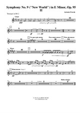 Symphony No.9, Movement II - Trumpet in Bb 2 (Transposed Part)