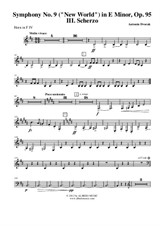 Symphony No.9, Movement III - Horn in F 4 (Transposed Part)